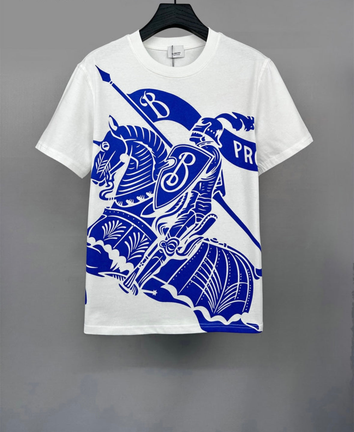 mens t-shirt