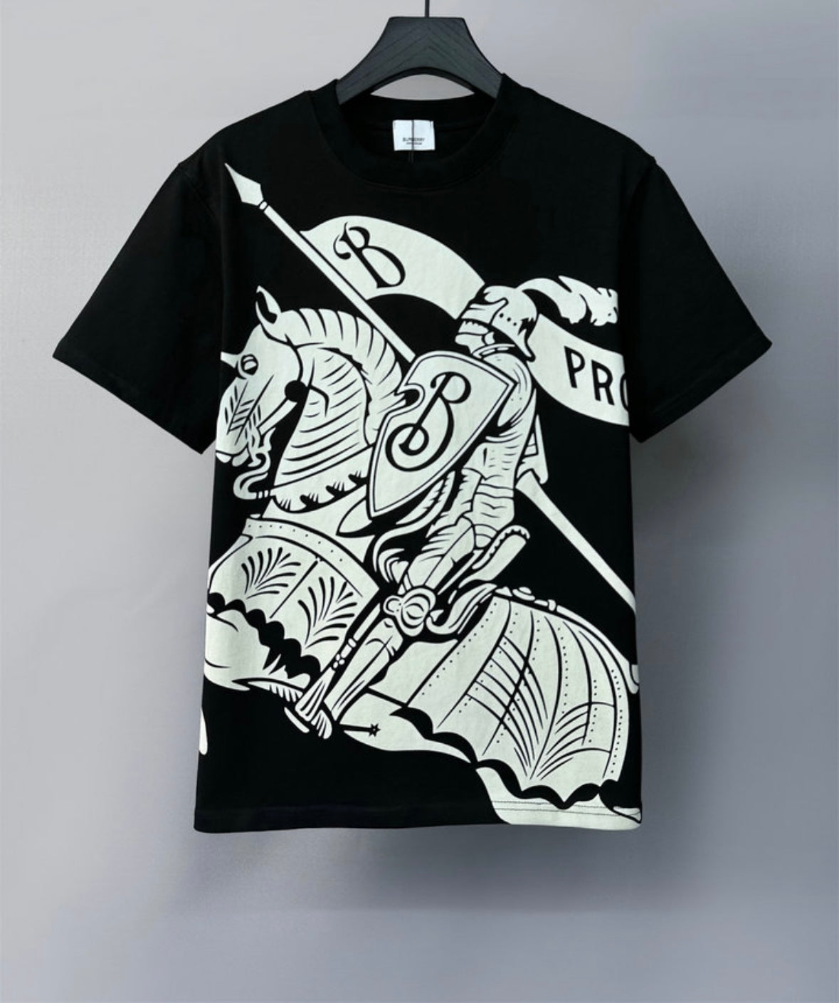 mens t-shirt